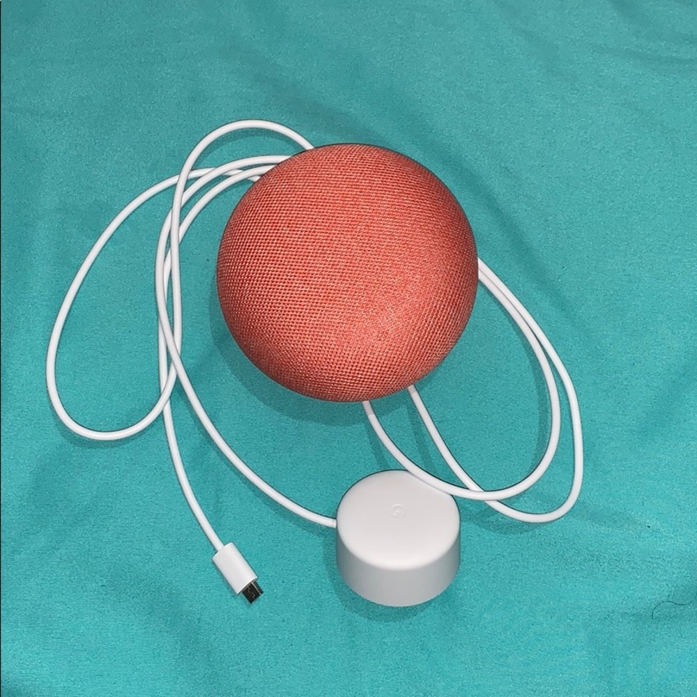 Coral Google home mini